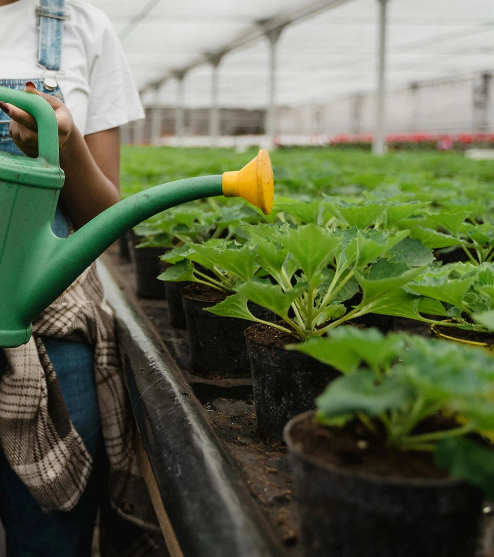 Organic farms avoid toxic inputs, improve soil health, grow clean, sustainable food that supports nature.